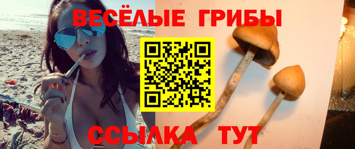Галлюциногенные грибы мицелий Губкинский