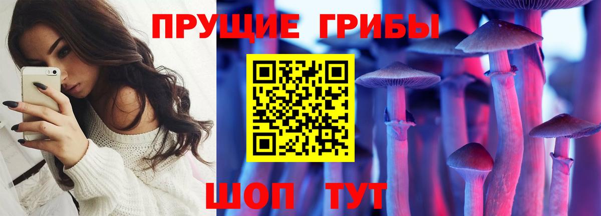 Псилоцибиновые грибы GOLDEN TEACHER  Вход с VPN  Псилоцибиновые грибы мицелий  Губкинский 